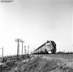 Wayward Zephyr
